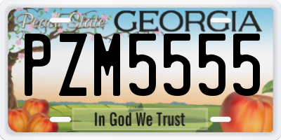 GA license plate PZM5555