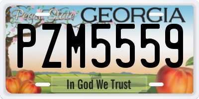 GA license plate PZM5559