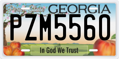 GA license plate PZM5560