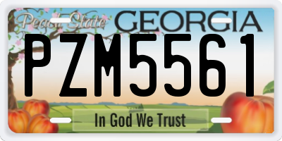 GA license plate PZM5561