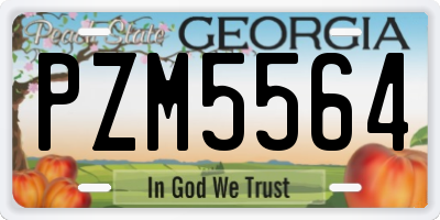 GA license plate PZM5564
