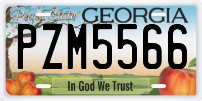 GA license plate PZM5566