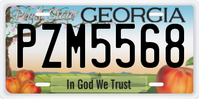 GA license plate PZM5568