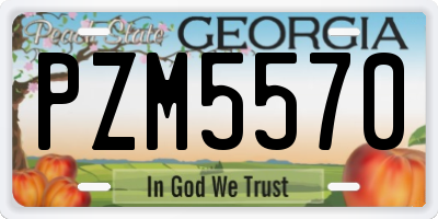 GA license plate PZM5570