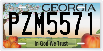 GA license plate PZM5571