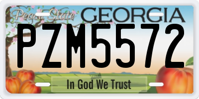 GA license plate PZM5572