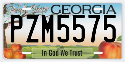 GA license plate PZM5575