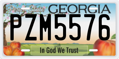 GA license plate PZM5576