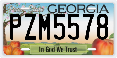 GA license plate PZM5578