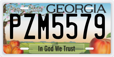 GA license plate PZM5579