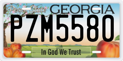 GA license plate PZM5580