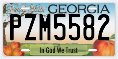 GA license plate PZM5582