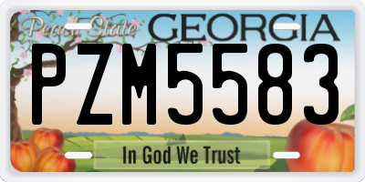 GA license plate PZM5583
