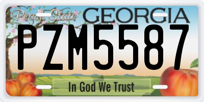 GA license plate PZM5587