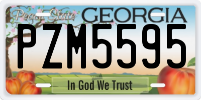GA license plate PZM5595