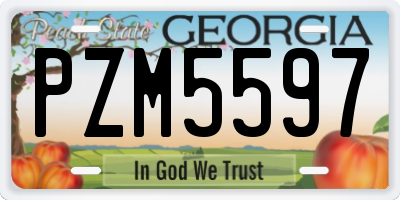 GA license plate PZM5597