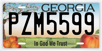 GA license plate PZM5599