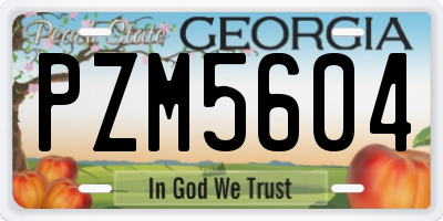 GA license plate PZM5604