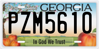 GA license plate PZM5610