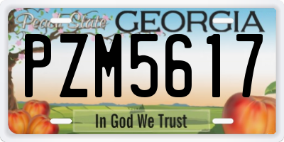 GA license plate PZM5617