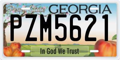 GA license plate PZM5621