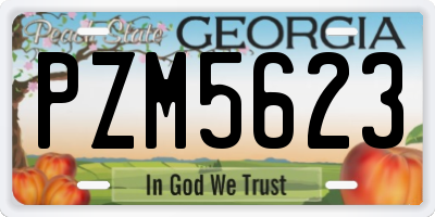 GA license plate PZM5623