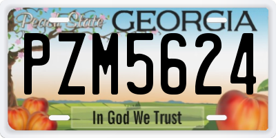 GA license plate PZM5624