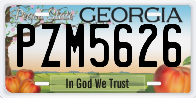 GA license plate PZM5626