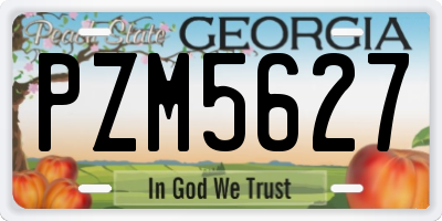 GA license plate PZM5627