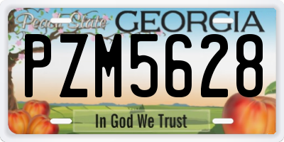GA license plate PZM5628