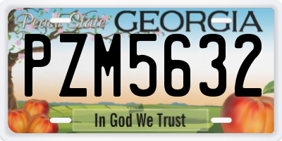 GA license plate PZM5632