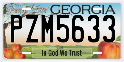 GA license plate PZM5633