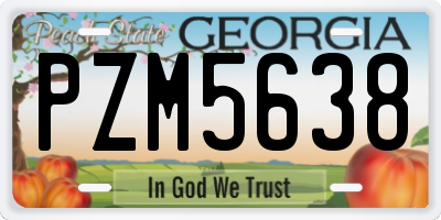 GA license plate PZM5638