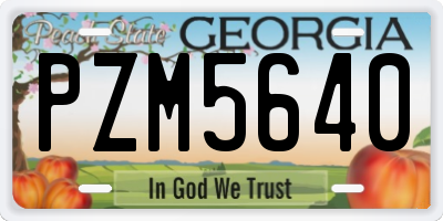GA license plate PZM5640