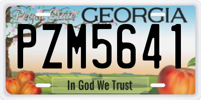 GA license plate PZM5641