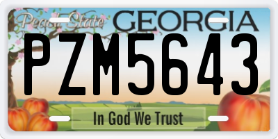 GA license plate PZM5643