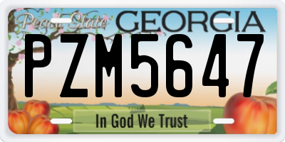 GA license plate PZM5647