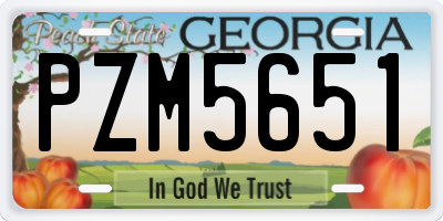 GA license plate PZM5651