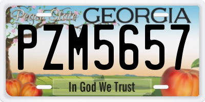 GA license plate PZM5657