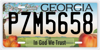 GA license plate PZM5658