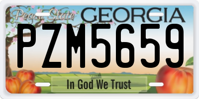 GA license plate PZM5659