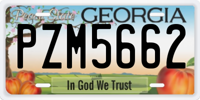 GA license plate PZM5662