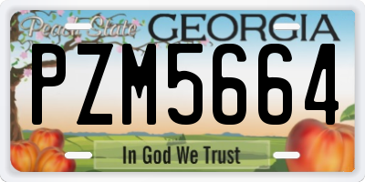 GA license plate PZM5664
