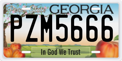 GA license plate PZM5666