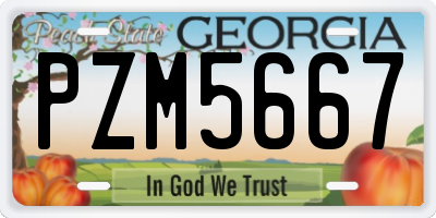 GA license plate PZM5667