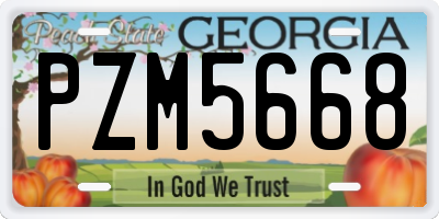 GA license plate PZM5668