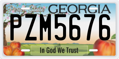 GA license plate PZM5676