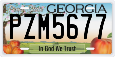 GA license plate PZM5677