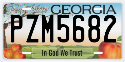 GA license plate PZM5682