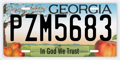 GA license plate PZM5683